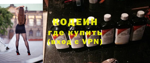 мдпв Гусь-Хрустальный