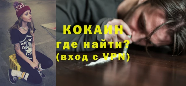 мдпв Гусь-Хрустальный
