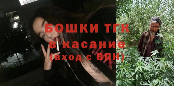 мдпв Гусь-Хрустальный