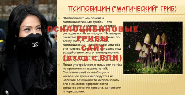 мдпв Гусь-Хрустальный