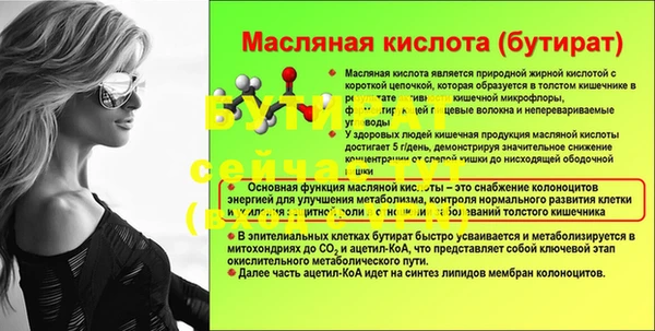 мдпв Гусь-Хрустальный