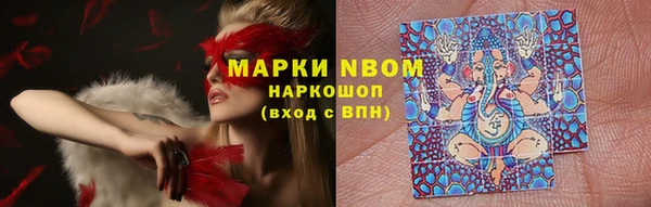 бошки Гусиноозёрск
