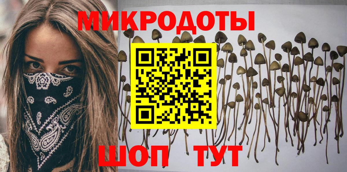 Саяногорск  Псилоцибиновые грибы мицелий  Галлюциногенные грибы Psilocybe  где купить наркоту  Вход с VPN 